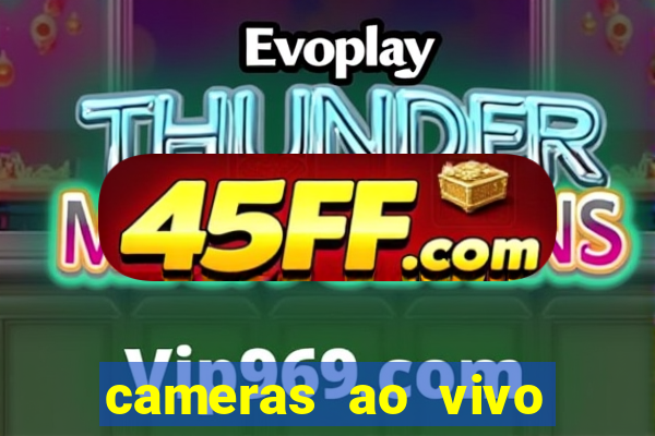 cameras ao vivo beto carrero